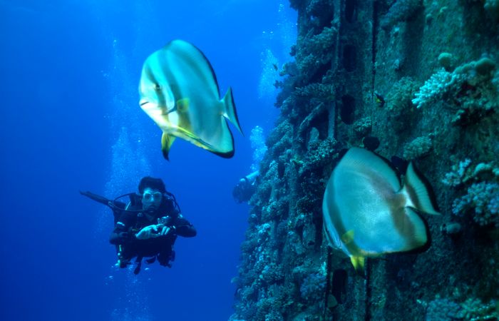 Wreck Diving